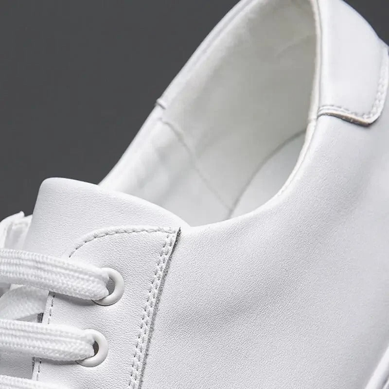 Enzo | Herren Sneaker aus Leder