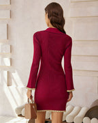 Wine Red V-Neck Viscose Mini Dress