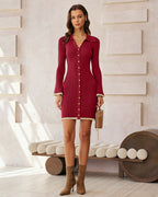 Wine Red V-Neck Viscose Mini Dress