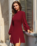 Sheer Red Mock Neck Mini Dress