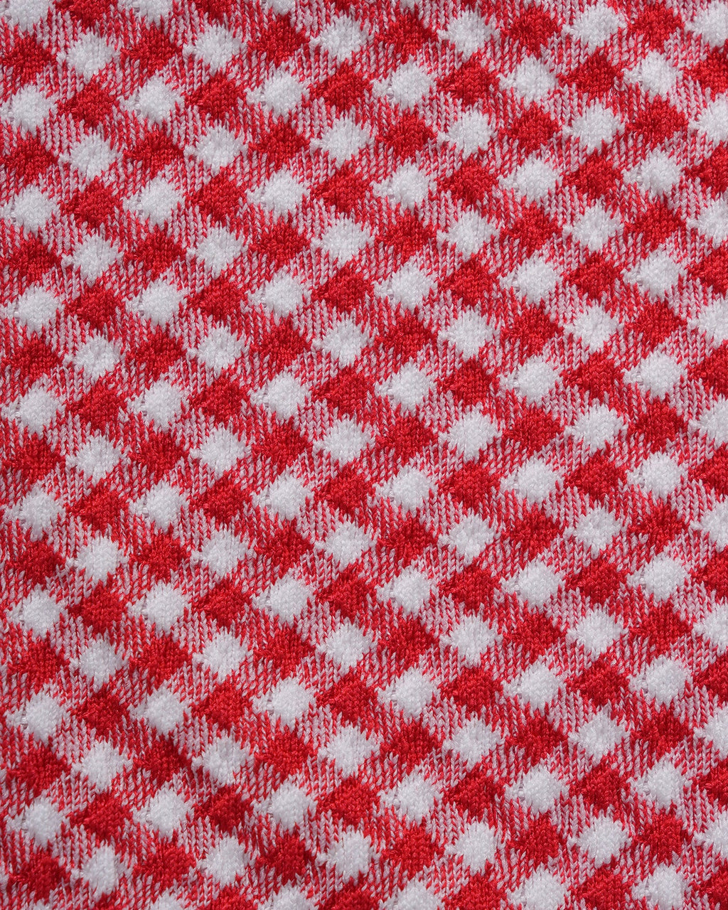 Red Plaid Triangular Bikini Set