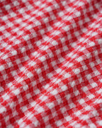 Red Plaid Triangular Bikini Set