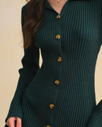 Button-Up A-Line Sweater Dress in Green