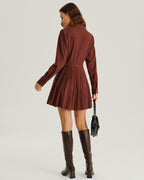 Brick Red Pleated A-Line Mini Dress